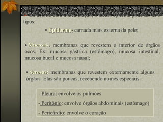  De acordo com a localização, o tecido epitelial pode ser de 3
tipos:
• Epiderme: camada mais externa da pele;
• Mucosas: membranas que revestem o interior de órgãos
ocos. Ex: mucosa gástrica (estômago), mucosa intestinal,
mucosa bucal e mucosa nasal;
• Serosas: membranas que revestem externamente alguns
órgãos. Elas são poucas, recebendo nomes especiais:
- Pleura: envolve os pulmões
- Peritônio: envolve órgãos abdominais (estômago)
- Pericárdio: envolve o coração

 