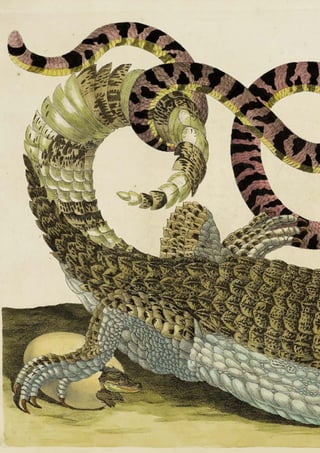 | 56
Bücher | Technik & Naturwissenschaften
 