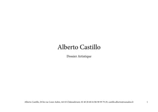 1
Alberto Castillo
Dossier Artistique
Alberto Castillo, 20 bis rue Louis Aubin, 44110 Châteaubriant, 02 40 28 68 61/06 98 99 79 29, castillo.alberto@wanadoo.fr
 