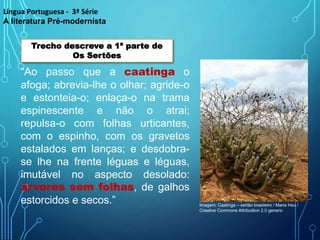 “Ao passo que a caatinga o
afoga; abrevia-lhe o olhar; agride-o
e estonteia-o; enlaça-o na trama
espinescente e não o atrai;
repulsa-o com folhas urticantes,
com o espinho, com os gravetos
estalados em lanças; e desdobra-
se lhe na frente léguas e léguas,
imutável no aspecto desolado:
árvores sem folhas, de galhos
estorcidos e secos.”
Língua Portuguesa - 3ª Série
A literatura Pré-modernista
Imagem: Caatinga – sertão brasileiro / Maria Hsu /
Creative Commons Attributtion 2.0 generic
Trecho descreve a 1ª parte de
Os Sertões
 