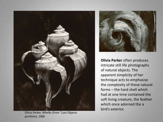 Olivia Parker often produces
                                            intricate still life photographs
                                            of natural objects. The
                                            apparent simplicity of her
                                            technique acts to emphasise
                                            the complexity of these natural
                                            forms – the hard shell which
                                            had at one time contained the
                                            soft living creature, the feather
                                            which once adorned the a
                                            bird’s exterior.
Olivia Parker, Whelks (from "Lost Objects
portfolio), 1980
 