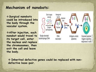Mechanism of nanobots:
 Surgical nanobots
could be introduced into
the body through the
vascular system.
After injection, each
nanobot would travel to
its target cell, enter
the nucleus and replace
the chromosomes, then
exit the cell and leave
the body.
 Inherited defective genes could be replaced with non-
defective base-pair.
 