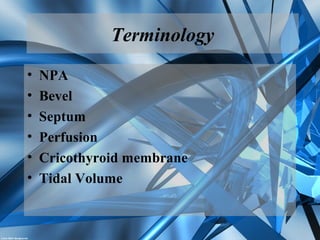 Terminology
• NPA
• Bevel
• Septum
• Perfusion
• Cricothyroid membrane
• Tidal Volume
 