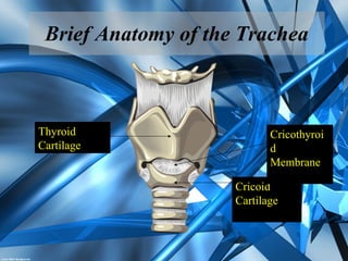 Cricoid
Cartilage
Cricothyroi
d
Membrane
Thyroid
Cartilage
Brief Anatomy of the Trachea
 