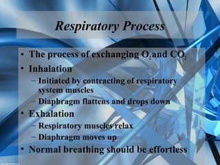Respiratory Process
• The process of exchanging O2and CO2
• Inhalation
– Initiated by contracting of respiratory
system muscles
– Diaphragm flattens and drops down
• Exhalation
– Respiratory muscles relax
– Diaphragm moves up
• Normal breathing should be effortless
 