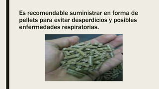 Es recomendable suministrar en forma de
pellets para evitar desperdicios y posibles
enfermedades respiratorias.
 