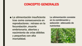 CONCEPTO GENERALES
■ La alimentación insuficiente
trae como consecuencia en
reproductores : retraso en la
fecundación ,muerte
embrionaria, abortos y
nacimiento de crías débiles
y pequeñas con alta
mortalidad.
La alimentación consiste
en la combinación y
selección adecuada de
nutrientes
 