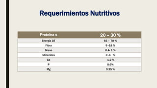 Requerimientos Nutritivos
Proteína s 20 – 30 %
Energía DT 65 – 70 %
Fibra 9 -18 %
Grasa 0.4- 1 %
Minerales 3 -4 %
Ca 1.2 %
P 0.6%
Mg 0.35 %
 