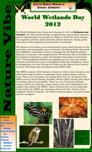 Giant Swallowtail Butterfly
NatureVibe
Natural History Museum of
Jamaica Newsletter
World Wetlands Day
2012
The World Wetlands Day theme for February 2, 2012 is Wetlands and
Tourism. On this internationally recognized day, government agencies,
private organizations and groups of citizens at all levels of the commu-
nity organize activities and undertake actions aimed at raising public
awareness of the importance and benefits of wetlands.
The Ramsar Convention is an international treaty which focuses on the
protection and sustainable use of wetlands. The Mason River Protected
Area (MRPA) in Clarendon, which is managed by the Natural History
Museum of Jamaica, was designated the 4th Ramsar Site or Wetland of
International Importance under the Ramsar Convention in December
2011. This designation holds much significance as it the only inland
wetland and bird sanctuary so recognized within the Caribbean. Given
its designation, the site will now be known as the Mason River Protect-
ed Area, Bird Sanctuary and Ramsar Site (MRPA-RS).
The MRPA consists of 82 hectares of land on which exists Jamaica only
inland peat bog as well as it possesses many unique plants and ani-
mals. There is an abundance of unique flora that can be found in the
MRPA such as Venus flytrap, Sundew, Pitcher plant, Prickly pole which
is endemic and several orchids. There are over 30 species of birds,
many of which are endemic, many insects and a few amphibians and
reptiles that inhabit the MRPA. Types of fauna that can be commonly
found within the MRPA are Jamaican zebra butterfly, Vervain hum-
mingbird, which is endemic, the White crowned pigeon, the green lizard
and the mongoose.
Top left: Jamaican
Zebra Butterfky
Top right: Sundew
Plant
Bottom left: Vervain
hummingbird
Bottom right:
Prickly pole
March 2012 Issue XVII Pg. 4
Featured:
 World
Meteorological
Day
 Windsor
Research Project
 The
World of
Wetlands
 Highlights
 Jamaican
Biodiversity
 