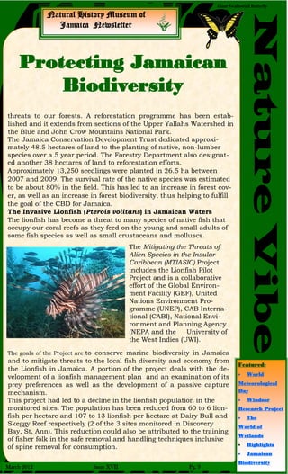 Natural History Museum of
Jamaica Newsletter
NatureVibe
March 2012 Issue XVII Pg. 9
Giant Swallowtail Butterfly
threats to our forests. A reforestation programme has been estab-
lished and it extends from sections of the Upper Yallahs Watershed in
the Blue and John Crow Mountains National Park.
The Jamaica Conservation Development Trust dedicated approxi-
mately 48.5 hectares of land to the planting of native, non-lumber
species over a 5 year period. The Forestry Department also designat-
ed another 38 hectares of land to reforestation efforts.
Approximately 13,250 seedlings were planted in 26.5 ha between
2007 and 2009. The survival rate of the native species was estimated
to be about 80% in the field. This has led to an increase in forest cov-
er, as well as an increase in forest biodiversity, thus helping to fulfill
the goal of the CBD for Jamaica.
The Invasive Lionfish (Pterois volitans) in Jamaican Waters
The lionfish has become a threat to many species of native fish that
occupy our coral reefs as they feed on the young and small adults of
some fish species as well as small crustaceans and molluscs.
The goals of the Project are to conserve marine biodiversity in Jamaica
and to mitigate threats to the local fish diversity and economy from
the Lionfish in Jamaica. A portion of the project deals with the de-
velopment of a lionfish management plan and an examination of its
prey preferences as well as the development of a passive capture
mechanism.
This project had led to a decline in the lionfish population in the
monitored sites. The population has been reduced from 60 to 6 lion-
fish per hectare and 107 to 13 lionfish per hectare at Dairy Bull and
Skeggy Reef respectively (2 of the 3 sites monitored in Discovery
Bay, St, Ann). This reduction could also be attributed to the training
of fisher folk in the safe removal and handling techniques inclusive
of spine removal for consumption.
Protecting Jamaican
Biodiversity
The Mitigating the Threats of
Alien Species in the Insular
Caribbean (MTIASIC) Project
includes the Lionfish Pilot
Project and is a collaborative
effort of the Global Environ-
ment Facility (GEF), United
Nations Environment Pro-
gramme (UNEP), CAB Interna-
tional (CABI), National Envi-
ronment and Planning Agency
(NEPA and the University of
the West Indies (UWI).
Featured:
 World
Meteorological
Day
 Windsor
Research Project
 The
World of
Wetlands
 Highlights
 Jamaican
Biodiversity
 