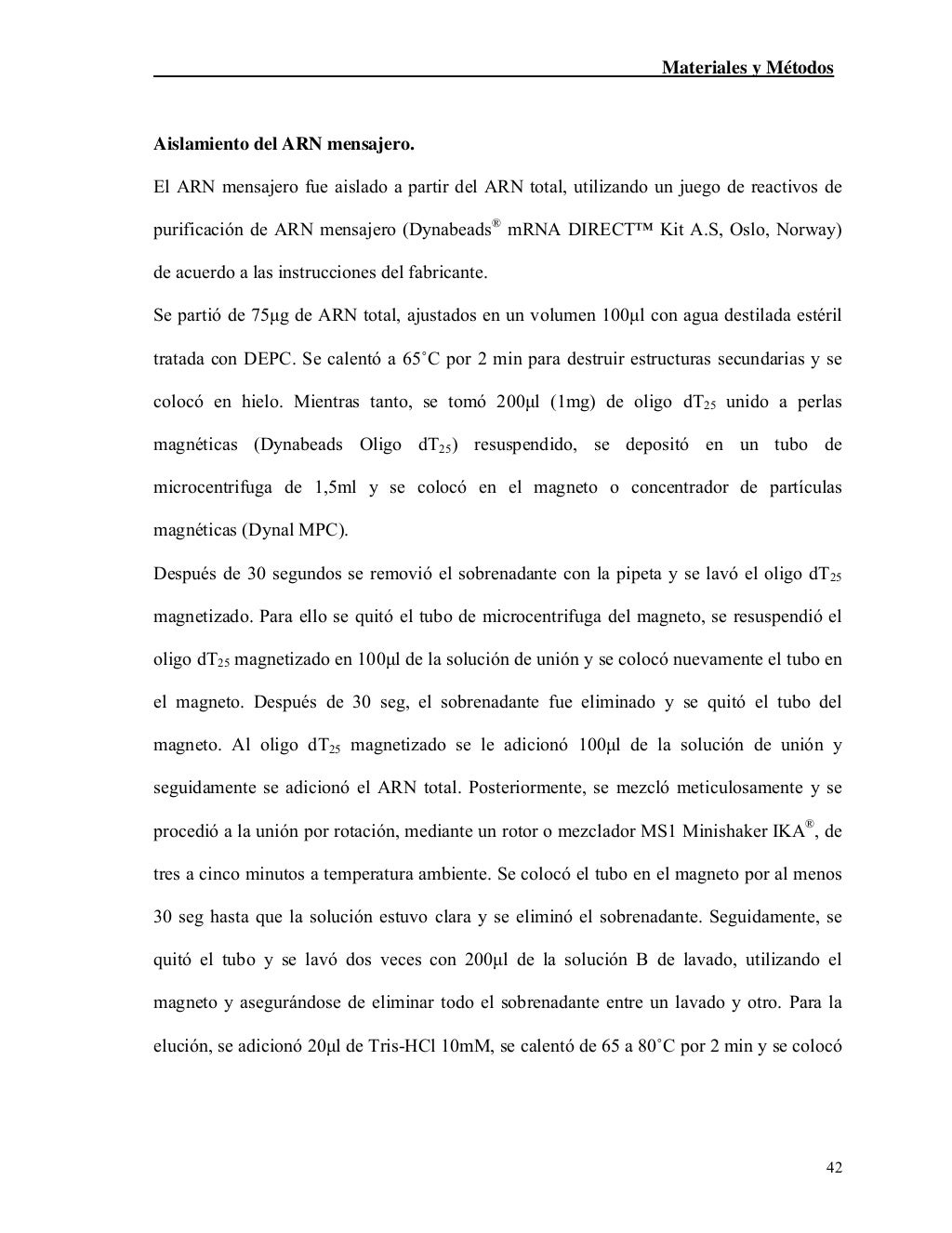 The paper in spanish image