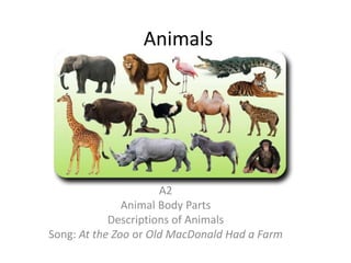 Animals
A2
Animal Body Parts
Descriptions of Animals
Song: At the Zoo or Old MacDonald Had a Farm
 