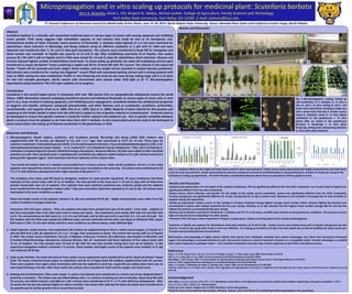 Micropropagation and in vitro scaling up protocols for medicinal plant: Scutellaria barbata
Terri A. Brearley, Aisha L. Hill, Brajesh N. Vaidya, Nirmal Joshee. College of Agriculture, Family Sciences and Technology,
Fort Valley State University, Fort Valley, GA 31030. E-mail: josheen@fvsu.edu
Abstract
Scutellaria barbata is a clinically well researched medicinal plant on various types of cancer cells causing apoptosis and inhibiting
tumor growth. TEAC assay suggests high antioxidant capacity of leaf extracts that could be tied to its therapeutic role.
Histochemical studies of foliar trichomes reveal presence of flavonoids. S. barbata nodal explants (1–1.2 cm) were examined for
adventitious shoot induction in Murashige and Skoog medium using six different cytokinins at 5 µM with 0.1 NAA and were
observed and transferred after 7, 14, and 21 days post inoculation. The cultures were transferred to basal MS for elongation and
shoot number was recorded. m–Topolin was superior at 14 and 21 dpi. After establishing superiority of m–Topolin, nine carbon
sources (0.1 M) with 5 µM m–Topolin and 0.1 NAA were tested for 14 and 21 days for adventitious shoot induction. Glucose and
fructose induced highest number of adventitious shoot buds. To study scaling up potential, ten week old multiplying cultures were
transferred to Liquid Lab Rocker® boxes containing a napkin and 30 mL of basal MS with 3% sucrose. The cultures in the Liquid Lab
Rocker ® boxes will be removed and fresh weight, shoot number, and dry weight will be recorded to analyze biomass production.
Microshoots were transferred for rooting into Magenta™ vessels filled with autoclaved potting mixture and a rooting protocol with
close to 100% rooting has been established. Prolific in vitro flowering and seed set was seen during rooting stage and it is of value
for rare and valuable genotypes. Sterile vessels with microshoots were placed under 16/8 light at 25 °C. Micropropagation
experiments using transverse Thin Cell Layer explants are in progress.
Introduction
Scutellaria is the second largest genus in Lamiaceae with over 360 species that are geographically widespread around the world
(Paton, 1990). Biomedical research employing Scutellaria extracts and individual flavonoids on various types of cancer cells, in vitro
and in vivo, have resulted in inducing apoptosis, and inhibiting tumor angiogenesis. Scutellaria barbata has antibacterial properties
of apigenin and luteolin, antitumor compound pheophorbide, and other flavones such as scutellarein, scutellarin, carthamidin,
isocarthamidin, and wogonin (Chan et al. 2006; Goh et al., 2005; Sato et al. 2000). Majority of plant material for this purpose and
supplying to the herbal market is taken from the wild and is subject to loss of genetic material or contamination. Protocols need to
be developed to ensure that genetic material is saved for further research and medicinal use. Due to genetic variability between
plants a protocol must be adapted as we have done here with S. barbata. Ex-situ conservation protocols need to be developed to
assist conservation and scaling up of biomass production in the greenhouse or field.
Materials and Methods
1. Micropropagation (Nodal explant, cytokinins, and incubation period): Murashige and Skoog (1962) (MS) medium was
supplemented with 3% sucrose, pH adjusted to 5.8, and 7 g L-1 agar, then autoclaved at 121°C for 15 min. There were six
cytokinin treatments: 6-benzylaminopurine (BAP), 6-furfurylaminopurine (Kinetin), 6-(α,α-dimethylallylamino)purine (2iP), 6-(3-
hydroxybenzylamino)purine (meta-Topolin - m-T), N-phenyl-N'-1,2,3-thiadiazol-5-ylurea (thidiazuron- TDZ), and 6-(4-Hydroxy-3-
methylbut-2-enylamino)purine (Zeatin) (PhytoTechnology Laboratories, Shawnee Mission, KS) that were added as filter sterilized
solutions at 5 µM. Filter sterilized auxin 1-naphthylacetic acid (NAA) was added to cooled medium at 0.1 µM. Control received no
plant growth regulators (pgrs). Each treatment had three replicates of five culture tubes.
Two month old mother stock of S. barbata was provided from in-house cultures. Under sterile conditions, 10 mm ± 2 mm nodal
explants were excised from shoots and all treatment tubes were inoculated on the same day. All cultures were maintained at 25
oC ± 2 oC with 16/8 hour photoperiod with a light intensity of 40 µmol m-2 s-1.
The incubation time assay used MS basal as elongation medium (no plant growth regulators). All seven treatments had three
replicates of five culture tubes with 15 mL of medium. The time periods in the assay were 7, 14 and 21 days with all three time
periods having their own set of explants. One replicate from each cytokinin treatment was randomly picked and the explants
were transferred into the elongation medium after 7 days post inoculation (dpi) then repeated at 14 and 21 dpi. All cultures were
maintained in the same conditions as above.
Shoot and height counts of the explants started at 21 dpi and continued till 63 dpi. Height measurements were taken from the
surface of medium to longest shoot tip.
Transverse Thin Cell Layer cultures: tTCLs are explants that have been excised from part of the plant < 1mm wide. Explants of
less than and greater than 1mm wide were tried on leaves and stems. Two treatments were tested, BAP with IAA and BAP with
2,4-D. The concentrations for BAP were 0.1, 1.0, 5.0, and 10.0 µM, and for IAA and 2,4-D it was 0.01, 0.1, 1.0, and 10.0 µM. The
MS medium with the PGRs were tested two different ways, one was semisolid and the other was liquid on Whatman filter paper.
Both were in 100 x 15 mm petri dishes stored in same conditions as cultures above, under diffused light.
2. Nodal segment, carbon sources, time experiment: MS medium by supplementing 0.1 M of a carbon source (sugar), m-Topolin at 5
µM and NAA at 0.1 µM, pH adjusted to 5.8, 7 g L-1 of agar, then autoclaved as above. The control had sucrose with no m-Topolin
or NAA. The carbon source treatments: Sucrose, D-Maltose, D-Glucose, Fructose, D(+)-Mannose, myo-Inositol, D-Mannitol, and
D-Sorbitol (PhytoTechnology Laboratories, Shawnee Mission, KS). All treatments had three replicates of five culture tubes with
15 mL of medium. The time periods were 14 and 21 dpi with the two time periods having their own set of explants. In this
experiment elongation medium contained 1 % sucrose. Shoot number and height counts of the explants were initiated at 21 dpi
and continued till 49 dpi.
3. Scale up for biomass: Ten week old cultures from carbon source experiment were transferred to sterile Liquid Lab Rocker® boxes
(LLR). The boxes contained brown paper as substratum and 30 mL of liquid basal MS medium supplemented with 3% sucrose.
There were explants from eight carbon treatments with two-five explants in each box. Liquid MS was added when there was no
extra liquid flowing in the box. After three weeks the cultures were recorded for fresh and dry weight, and shoot count.
4. Rooting and Acclimatization: After seven weeks in culture microshoots were transferred to a sterile unit of two Magenta Boxes®
joined by a connector. The bottom box was filled halfway with a 1:1 mixture of potting soil and vermiculite, liquid basal MS with
3% sucrose, and indole-3-butyric acid (IBA) at 5 µM. Cultures were maintained at 25 oC ± 2 oC with 16/8 hour photoperiod. After
six weeks the top box was opened slightly to reduce humidity. Two weeks after opening the boxes the plants were transferred to
the greenhouse for further growth and to record final survival.
Results and Discussion
Control Fructose Glucose Maltose
Sucrose Myo-Inositol Mannitol Sorbitol
B
A
B
B
B
B B
A
A
A
A
A A
AC
C
B
B
A
C
CCD
BC
BC BC
A
D
B
0
1
2
3
4
5
6
7
8
Control 2iP BAP Kinetin m-Topolin TDZ Zeatin
Height(cm)andShootCount
Treatments
S. barbata 7, 14, & 21 dpi
Height
(cm)
Shoot
Count 7
dpi
Shoot
Count 14
dpi
Shoot
Count 21
dpi
A
B
B B
C C C
B
E
A
A
B
DE
C
DE D
C
B
A
C
C
C
C
C
0
5
10
15
20
25
Height(cm)andShootCountMeans
Treatments
S. barbata 14 & 21 dpi
Height
(cm)
14 dpi
Shoot
Count
21 dpi
Shoot
Count
Con Fruc Glu Mal Suc Myo–I Mann Sor BAP Kin 2iP m-T TDZ Zeatin Con
0
10
20
30
40
50
60
70
80
90
Control
Fructose
Glucose
Maltose
Mannitol
Myo-Inositol
Sorbitol
Sucrose
Control
Fructose
Glucose
Maltose
Mannitol
Myo-Inositol
Sorbitol
Sucrose
AverageShootsperClump
14 dpi Treatments 21 dpi
Results and Discussion
Cytokinin and regeneration: For the height of the cytokinin treatments, 2iP was significantly different than the other treatments. For 14 and 21 dpi m-Topolin was
significantly different from the other treatments.
Carbon Source, Shoot induction, and growth: For the height of the carbon source treatments, control was significantly different than the other treatments.
Fructose and glucose are significantly different for 14 dpi, and glucose for 21 dpi on shoot count. Mannose is not included in the graph due to total mortality of
explants during the experiment.
Scaling up Experiment: Carbon source 14 dpi resulted in fructose treatment having highest average shoot number (49.6), whereas highest dry biomass was
accumulated in plants with maltose treatment (0.176 g per clump). Similarly, at 21 dpi mannitol had the highest shoot number average (84.75) and had the
highest dry biomass accumulated (0.262 g per clump).
Rooting and acclimation experiment: Rooting for S. barbata was 97.5 % in the boxes and 80% upon transfer to the greenhouse conditions. This protocol ensures
high survival and we are expanding it to other species.
Transverse Thin Cell Layer culture experiment: Progress is being made, calluses are being observed for somatic embryogenesis.
Cytokinin m-Topolin was superior for adventitious shoot bud induction at 14 and 21 dpi. Carbon sources were tested along with m-Topolin and glucose was the
best for 14 and 21 dpi, going with 14 dpi is more cost effective. For scaling up mannitol at 21 dpi is the best option due to almost doubling the shoot count over
fructose and increasing biomass by two-thirds.
Biochemistry and physiology of higher plants indicate that species that metabolize mannitol have several advantages over those that exclusively translocate
sugars. One advantage is increased tolerance to salt- and osmotic-stress as a result of mannitol's function as a ‘compatible solute’. Another advantage is a possible
role in plant responses to pathogen attack— thus mannitol metabolism may play roles in plant responses to both biotic and abiotic stresses.
References
Chan, J. Y., P. M. Tang, P. Hon, S. W. Au, S. K. Sui, M. M. Waye, S. Kong, T. C. Mak, and K. Fung. 2006. Planta Medica 72:28-33.
Goh, D., E. S. Ong, and Y. H. Lee. 2005. Journal of agricultural and food chemistry 53 (21):8197-8204.
Murashige, T. and F. Skoog. 1962. A revised medium for rapid growth and bioassays with tobacco tissue cultures. Physiologia Plantarum 15:473-497.
Paton, A. 1990. A global taxonomic investigation of Scutellaria (Labiatae). Kew Bull 45:399-450.
Sato, Y., S. Suzuki, T. Nishikawa, M. Kihara, H. Shibata, and T. Higuti. 2000. Journal Ethnopharmocol 72:483-488.
TranTran Thanh Van, K., H. Chlyah and A. Chlyah, 1974. Regulations of organogenesis in thin layers of epidermal and sub epidermal cell. Tissue Culture and Plant Sciences. Academic Press, Pp
101-139.
Acknowledgement
2011-2014. Capacity building USDA NIFA. Title: Germplasm conservation, Anti-adipocytic and anticancer activity and metabolic engineering in the genus Scutellaria. CSREES
Award # 2011-38821-30928. P.I.: Nirmal Joshee
Thank you to Dr. David I. Shapiro-Ilan of USDA-ARS Byron, GA for SAS guidance.
Thanks for time to time help from lab members- Alhassan I Zakaria, and to Vicki Owen for maintaining Scutellaria germplasm in the greenhouse
Fig. 1 Micropropagation, rooting, scaling up
and acclimation of S. barbata. A. In vitro 3
wks. B. and C. In vitro rooting D. and E. LLR
boxes with inset picture showing a single box
and a clump from that box F. Carbon source
assay G. Cytokinin assay H. In vitro plants
acclimated to the greenhouse I. In vitro
plants after six weeks in the greenhouse
(fructose is flowering) J. In vitro plant
flowering, setting seed, and growing plantlets
K. tTCLs with callus induction.
A B C D
E F G H
I J K
Fig 2. A. Cytokinin effect on the height and total shoot count for three time periods B. Carbon source assay representing the height measurements and total shoot
count for each time period C. Graph representing the percent rooting and survival of acclimated plants in the greenhouse D. Number of shoots per clump in the
LLR boxes in scaling up experiment. The GLM Procedure and Student-Newman-Keuls Test was executed on SAS for graphs A and B.
A B C D
 