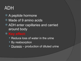A2 Bio_14 Homeostasis and how it works.pptx