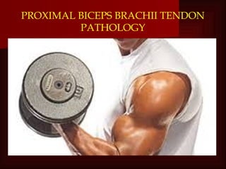 Biceps tendon pathology