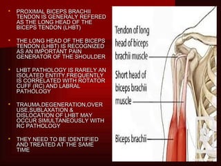 Biceps tendon pathology