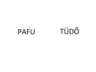 PAFU T?D?
 