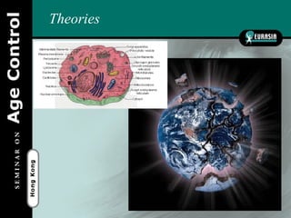 Theories