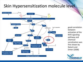 Skin Hypersensitization molecule level
good correlation
between
activation of the
Nrf2 signaling
pathway and
chemical
sensitization was
first shown by
Natsch and
Emter (2008)
 