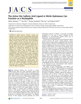 The Active Site Sulfenic Acid Ligand in Nitrile Hydratases Can
Function as a Nucleophile
Salette Martinez,†,‡,⊥
Rui Wu,‡,⊥
Ruslan Sanishvili,§
Dali Liu,‡
and Richard Holz*,†
†
Department of Chemistry, Marquette University, Milwaukee, Wisconsin 53201, United States
‡
Department of Chemistry and Biochemistry, Loyola University Chicago, Chicago, Illinois 60660, United States
§
X-ray Science Division, Advanced Photon Source, Argonne National Laboratory, 9700 South Cass Avenue, Lemont, Illinois 60439,
United States
*S Supporting Information
ABSTRACT: Nitrile hydratase (NHase) catalyzes the
hydration of nitriles to their corresponding commercially
valuable amides at ambient temperatures and physiological
pH. Several reaction mechanisms have been proposed for
NHase enzymes; however, the source of the nucleophile
remains a mystery. Boronic acids have been shown to be
potent inhibitors of numerous hydrolytic enzymes due to
the open shell of boron, which allows it to expand from a
trigonal planar (sp2
) form to a tetrahedral form (sp3
).
Therefore, we examined the inhibition of the Co-type
NHase from Pseudonocardia thermophila JCM 3095
(PtNHase) by boronic acids via kinetics and X-ray
crystallography. Both 1-butaneboronic acid (BuBA) and
phenylboronic acid (PBA) function as potent competitive
inhibitors of PtNHase. X-ray crystal structures for BuBA
and PBA complexed to PtNHase were solved and reﬁned
at 1.5, 1.6, and 1.2 Å resolution. The resulting PtNHase−
boronic acid complexes represent a “snapshot” of reaction
intermediates and implicate the cysteine-sulfenic acid
ligand as the catalytic nucleophile, a heretofore unknown
role for the αCys113
−OH sulfenic acid ligand. Based on
these data, a new mechanism of action for the hydration of
nitriles by NHase is presented.
Nitrile hydratase (NHase, E.C. 4.2.1.84) is a metal-
loenzyme within the nitrile degradation pathway that
catalyzes the hydration of nitriles to their corresponding amides
under mild conditions (room temperature and physiological
pH).1,2
NHases consist of two nonhomologous subunits, α and
β, that form α2β2 heterotetramers.3−6
Several NHases have
been structurally characterized and shown to contain either a
low-spin nonheme Fe(III) ion (Fe-type) or a low-spin
noncorrin Co(III) ion (Co-type) in their active site. The
metal ion is coordinated by three cysteine sulfur atoms, two
amide nitrogens, and a water molecule.7
Two of the active site
cysteine residues are post-translationally modiﬁed to cysteine-
sulﬁnic acid (Cys−SO2H) and cysteine-sulfenic acid (Cys−
SOH) yielding an unusual metal coordination geometry,
termed a “claw setting”.7
NHases have attracted substantial
interest as biocatalysts in preparative organic chemistry and are
used in several industrial applications such as the large scale
production of acrylamide and nicotinamide.8,9
In addition,
because of their exquisite reaction speciﬁcity, the nitrile-
hydrolyzing potential of NHases is becoming increasingly
recognized as a new type of “green” chemistry for the
degradation of environmentally harmful nitriles such as
bromoxynil, a nitrile-based pesticide.10
Several reaction mechanisms have been proposed for NHase
enzymes; however, the precise catalytic pathway remains
elusive. Based on single turnover stopped-ﬂow data, the nitrile
substrate nitrogen was shown to bind directly to the active site
metal ion displacing the axial water molecule.11
Once bound,
imidate is likely formed as the result of nucleophilic attack,
which then isomerizes to the corresponding amide. However,
the source of the nucleophile for this transformation is still
under debate. To gain insight into the identity of the active site
nucleophile, we examined the inhibition of the Co-type NHase
from Pseudonocardia thermophila JCM 3095 (PtNHase) by
boronic acids. The resulting X-ray crystal structures of
PtNHase-boronic acid complexes are a “snapshot” of potential
reaction intermediates and implicate the cysteine-sulfenic acid
ligand as the catalytic nucleophile. The combination of these
data with previously reported spectroscopic and X-ray
crystallographic data have allowed a novel mechanism of action
to be proposed for the metal-mediated nitrile hydration
reaction catalyzed by NHase enzymes.
The ability of both 1-butaneboronic acid (BuBA) and
phenylboronic acid (PBA) to inhibit PtNHase was examined by
monitoring the hydration of acrylonitrile to acrylamide
spectrophotometrically at 225 nm (ε = 2.9 mM−1
cm−1
). In
the absence of inhibitors, PtNHase catalyzed the hydration of
acrylonitrile at pH 7.5 and 25 °C with a kcat value of 1310 ±
110 s1
and a Km value of 0.8 ± 0.1 mM. Inspection of the
reaction time course for the hydration of acrylonitrile at pH 7.5
and 25 °C by PtNHase in the presence of BuBA or PBA
indicates that both boronic acids function as potent competitive
inhibitors of PtNHase. For BuBA, linear reaction progress
curves were observed providing an inhibition constant (Ki) of
0.5 ± 0.1 μM. On the other hand, PBA displayed biphasic
progress curves, which is characteristic of slow-binding
inhibition (Figure S1).12
The slow-binding inhibition properties of PBA were analyzed
based on the equilibrium shown in Scheme 1, where Ki (Ki =
k1/k2) is the equilibrium inhibition constant for the formation
Received: October 11, 2013
Published: January 2, 2014
Communication
pubs.acs.org/JACS
© 2014 American Chemical Society 1186 dx.doi.org/10.1021/ja410462j | J. Am. Chem. Soc. 2014, 136, 1186−1189
This is an open access article published under an ACS AuthorChoice License, which permits
copying and redistribution of the article or any adaptations for non-commercial purposes.
 