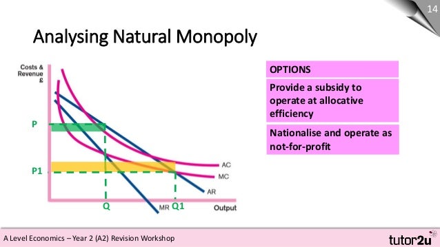 Natural monopoly essay picture