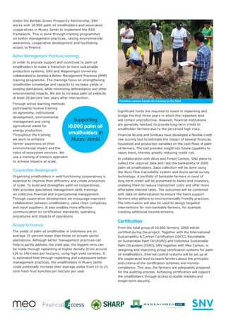 Under the Berbak Green Prosperity Partnership, SNV
works with 10.000 palm oil smallholders and associated
cooperatives in Muaro Jambi to implement the RSS
framework. This is done through training programmes
on better management practices, raising environmental
awareness, cooperative development and facilitating
access to finance.
Better Management Practices trainings
In order to provide support and incentives to palm oil
smallholders to make a transition to more sustainable
production systems, SNV and Wageningen University
collaborated to develop a Better Management Practices (BMP)
training programme. The trainings focus on strengthening
smallholder knowledge and capacity to increase yields in
existing plantations, while minimizing deforestation and other
environmental impacts. We aim to increase palm oil yields by
at least 20 percent two years after intervention.
Through active learning methods
participants receive training
on agronomy, institutional
development, environmental
management and using
agricultural waste for
energy production.
Throughout the training,
we work to enhance
farmer awareness on their
environmental impact and the
value of ecosystem services. We
use a training of trainers approach
to achieve impacts at scale.
Cooperative development
Organizing smallholders in well-functioning cooperatives is
essential to improve their efficiency and create economies
of scale. To build and strengthen palm oil cooperatives,
SNV provides specialized management skills trainings
on collective financial and organizational management.
Through cooperative development we encourage improved
collaboration between smallholders, value chain companies
and input suppliers. It also enables more effective
communication on certification standards, operating
procedures and impacts of operations.
Access to Finance
The yields of palm oil smallholder in Indonesia are on
average 35 percent lower than those on private sector
plantations. Although better management practices can
help to partly address the yield gap, the biggest wins can
be made through replanting at higher density (from around
126 to 146 trees per hectare), using high yield varieties. It
is estimated that through replanting and subsequent better
management practices, the smallholders in Muaro Jambi
could potentially increase their average yields from 15 to 25
tons fresh fruit bunches per hectare per year.
Supporting
10.000 palm oil
smallholders in
Muaro Jambi
Significant funds are required to invest in replanting and
bridge the first three years in which the replanted land
will remain unproductive. However, financial institutions
are generally hesitant to provide long-term credit to
smallholder farmers due to the perceived high risks.
Financial Access and Simbuka have developed a flexible credit
risk scoring tool to estimate the impact of several financial,
household and production variables on the cash flows of palm
oil farmers. The tool provides insight into future capability to
repay loans, thereby greatly reducing credit risk.
In collaboration with Akvo and Forest Carbon, SNV plans to
collect the required data and rate the bankability of 2000
palm oil smallholders. Data collection will be done using
the Akvo Flow traceability system and drone aerial survey
technology. A portfolio of bankable farmers in need of
long-term credit will be presented to banks and investors,
enabling them to reduce transaction costs and offer more
affordable interest rates. The outcomes will be combined
with data on deforestation to ensure the loans support
farmers who adhere to environmentally friendly practices.
The information will also be used to design targeted
interventions for non-bankable farmers, for example
creating additional income streams.
Certification
From the total group of 10.000 farmers, 2000 will be
certified during the project. Together with the International
Sustainability & Carbon Certification (ISCC), Roundtable
on Sustainable Palm Oil (RSPO) and Indonesia Sustainable
Palm Oil system (ISPO), SNV together with Meo Carbon, is
designing and improving group certification systems for palm
oil smallholders. Internal control systems will be set up at
the cooperative level to teach farmers about the principles
and criteria of the certification schemes and monitor
compliance. This way, the farmers are adequately prepared
for the auditing process. Achieving certification will support
the smallholders through access to stable markets and
longer-term security.
Farmers receive hands-on training in the field
 
