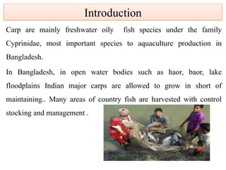 Larval nutrition and management procedure of Indian major carp in ...