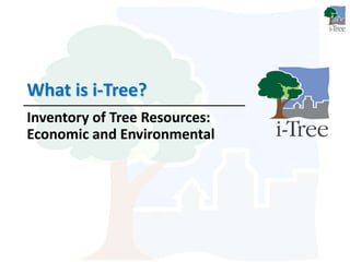 A2 i-Tree | PPTX