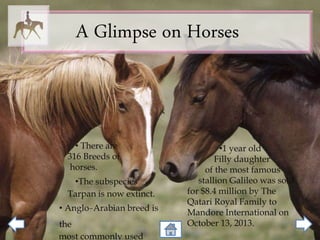 A Glimpse on Horses
• There are
316 Breeds of
horses.
•The subspecies
Tarpan is now extinct.
• Anglo-Arabian breed is
the
most commonly used
•1 year old
Filly daughter
of the most famous
stallion Galileo was sold
for $8.4 million by The
Qatari Royal Family to
Mandore International on
October 13, 2013.
 