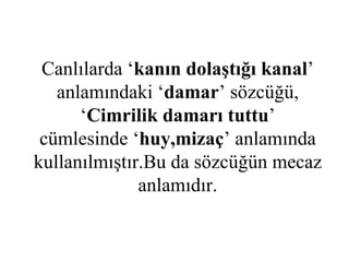 Canlılarda ‘ kanın dolaştığı kanal ’ anlamındaki ‘ damar ’ sözcüğü, ‘ Cimrilik damarı tuttu ’ cümlesinde ‘ huy,mizaç ’ anlamında kullanılmıştır.Bu da sözcüğün mecaz anlamıdır. 
