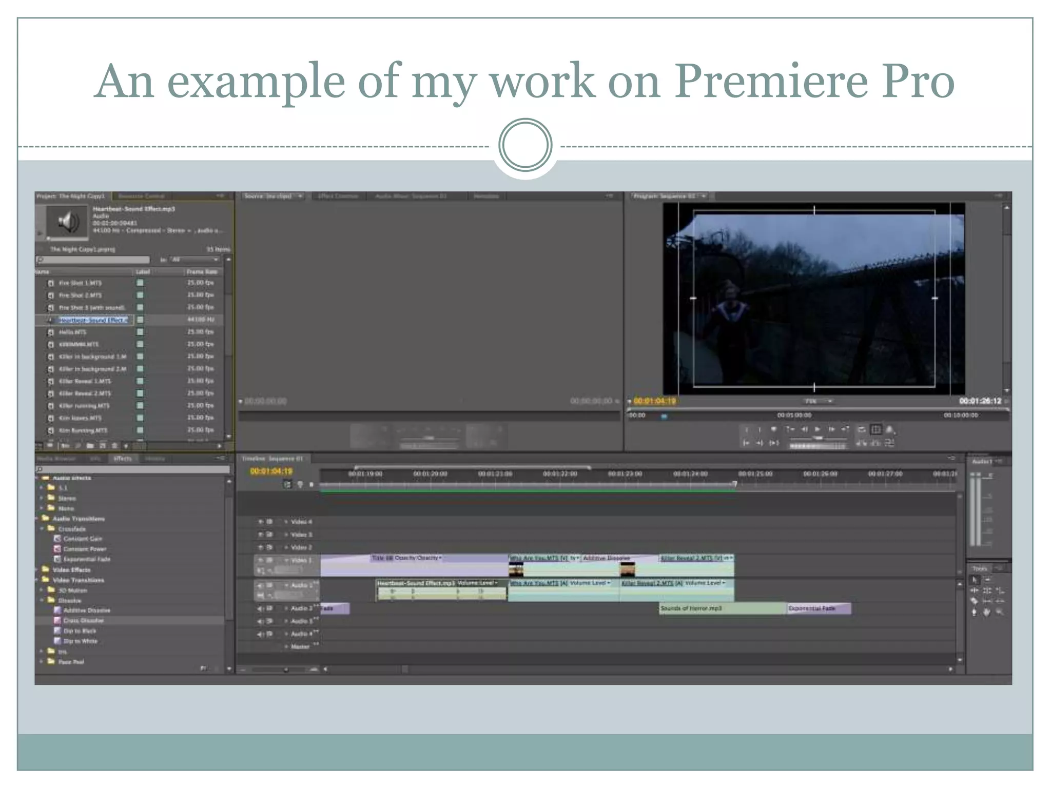 An example of my work on Premiere Pro
 