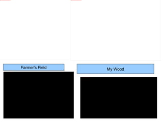 Farmer's Field My Wood 