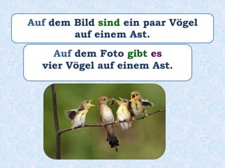 Auf dem Bild sind ein paar Vögel
auf einem Ast.
Auf dem Foto gibt es
vier Vögel auf einem Ast.
 