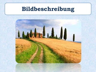 Bildbeschreibung
 