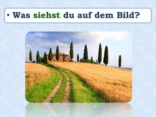 • Was siehst du auf dem Bild?
 