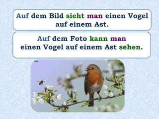 Auf dem Foto kann man
einen Vogel auf einem Ast sehen.
Auf dem Bild sieht man einen Vogel
auf einem Ast.
 