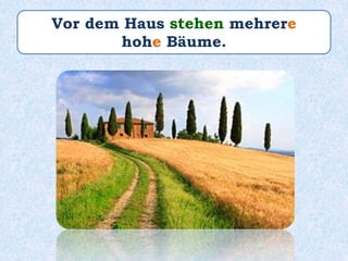 Vor dem Haus stehen mehrere
hohe Bäume.
 