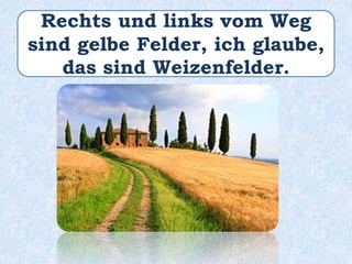 Rechts und links vom Weg
sind gelbe Felder, ich glaube,
das sind Weizenfelder.
 