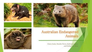 Australian Endangered 
Animals 
Claire Seale, Natalie Perez, Kathryn Lopez 
and Esther De Silva 
 