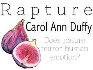 R a p t u r e 
Carol Ann Duffy 
Does nature 
mirror human 
emotion? 
 