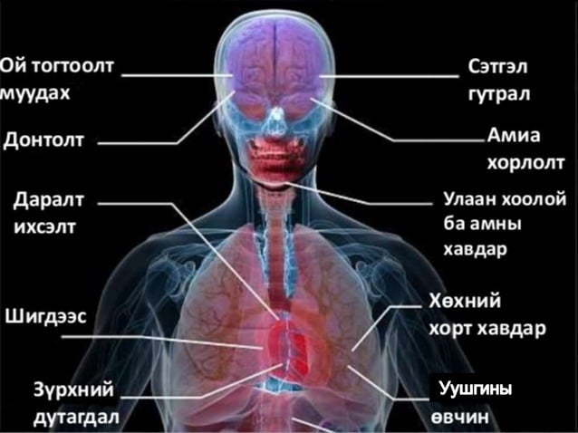 Архи , тамхины талаарх бодит мэдээлэл