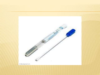 A 3.1 Coleta de Exames AE 64.pptx