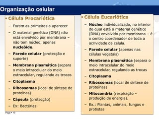 Organização celular

   – Foram as primeiras a aparecer                 – Núcleo individualizado, no interior
                                                     do qual está o material genético
   – O material genético (DNA) não                   (DNA) envolvido por membrana – é
     está envolvido por membrana –                   o centro coordenador de toda a
     não tem núcleo, apenas                          acrividade da célula.
     nucleóide.
                                                   – Parede celular (apenas nas
   – Parede celular (protecção e                     células vegetais)
     suporte)
                                                   – Membrana plasmática (separa o
   – Membrana plasmática (separa                     meio intracelular do meio
     o meio intracelular do meio                     extracelular, regulando as trocas
     extracelular, regulando as trocas             – Citoplasma
   – Citoplasma                                    – Ribossomas (local de síntese de
   – Ribossomas (local de síntese de                 proteínas)
     proteínas)                                    – Mitocondria (respiração –
   – Cápsula (protecção)                             produção de energia).

   – Ex: Bactérias                                 – Ex.: Plantas, animais, fungos e
                                                     protistas
 Page  10                               IL 2012
 