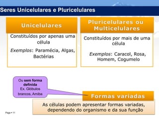 Seres Unicelulares e Pluricelulares



     Constituídos por apenas uma                Constituídos por mais de uma
                 célula                                      célula
     Exemplos: Paramécia, Algas,
                                                  Exemplos: Caracol, Rosa,
              Bactérias
                                                     Homem, Cogumelo



             Ou sem forma
                definida
              Ex. Glóbulos
             brancos, Amiba


                              As células podem apresentar formas variadas,
 Page  11
                                dependendo IL 2012organismo e da sua função
                                             do
 