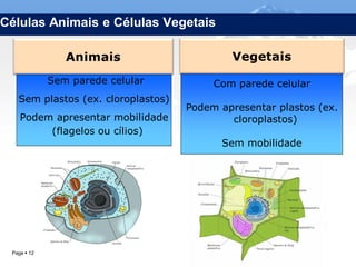 Células Animais e Células Vegetais



             Sem parede celular                Com parede celular
   Sem plastos (ex. cloroplastos)
                                          Podem apresentar plastos (ex.
    Podem apresentar mobilidade                   cloroplastos)
         (flagelos ou cílios)
                                                Sem mobilidade




 Page  12                          IL 2012
 