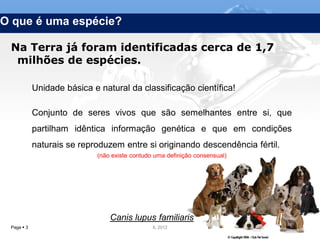 O que é uma espécie?

 Na Terra já foram identificadas cerca de 1,7
  milhões de espécies.

            Unidade básica e natural da classificação científica!

            Conjunto de seres vivos que são semelhantes entre si, que
            partilham idêntica informação genética e que em condições
            naturais se reproduzem entre si originando descendência fértil.
                             (não existe contudo uma definição consensual)




                                 Canis lupus familiaris
 Page  3                                       IL 2012
 
