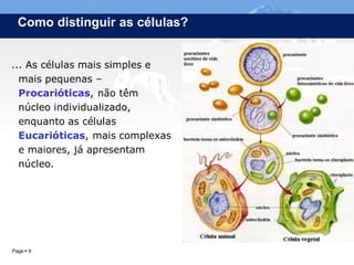Como distinguir as células?


... As células mais simples e
  mais pequenas –
  Procarióticas, não têm
  núcleo individualizado,
  enquanto as células
  Eucarióticas, mais complexas
  e maiores, já apresentam
  núcleo.




Page  9                     IL 2012
 