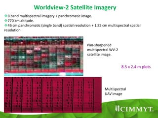 An Aerial Remote Sensing Platform for High Throughput Phenotyping of ...