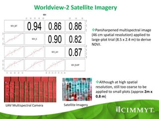 An Aerial Remote Sensing Platform for High Throughput Phenotyping of ...
