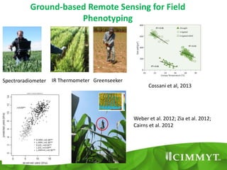 An Aerial Remote Sensing Platform for High Throughput Phenotyping of ...
